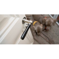 Door handle FORMANI BOSCO LZ100-G IP  - polished steel / black
